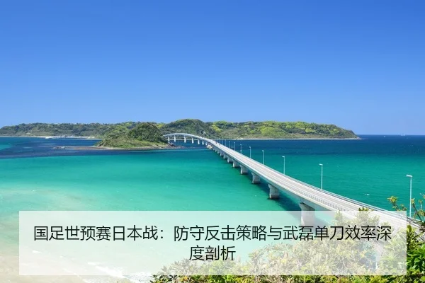 国足世预赛日本战：防守反击策略与武磊单刀效率深度剖析