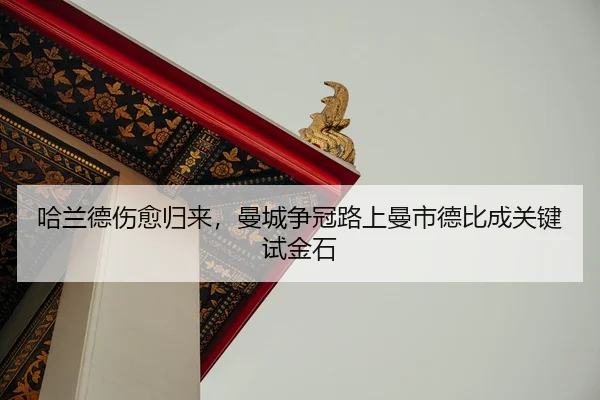ha-lan-de-shang-yu-gui-lai-man-cheng-zheng-guan-lu-shang-man-shi-de-bi-cheng-guan-jian-shi-jin-shi-2-153.jpg