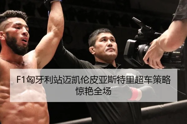F1匈牙利站迈凯伦皮亚斯特里超车策略惊艳全场