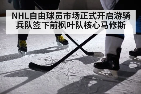 NHL自由球员市场正式开启游骑兵队签下前枫叶队核心马修斯